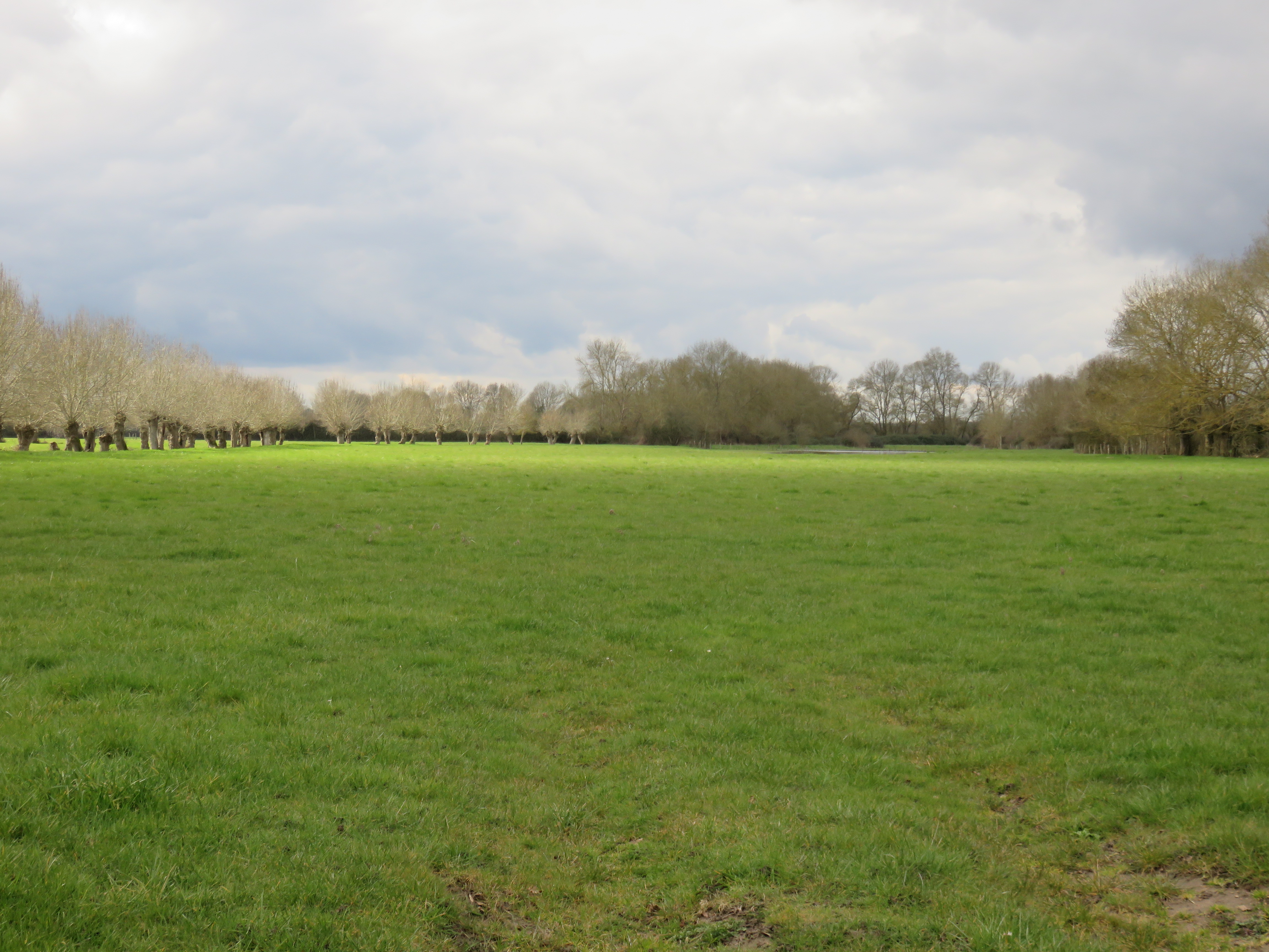 Partons découvrir le bocage et les  prairies inondables
